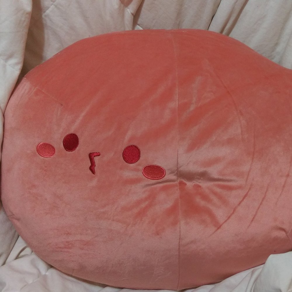 2/$50 Big Hot & Spicy Fried Chicken Plushy